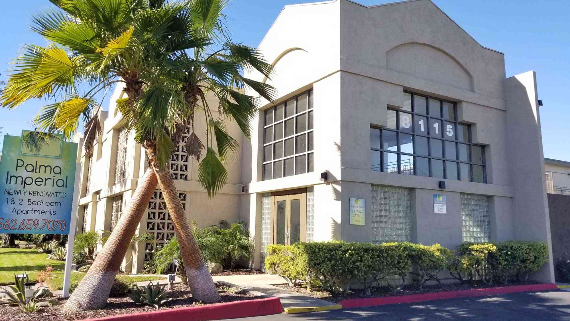 leasing office entrance and palm tree landscaping